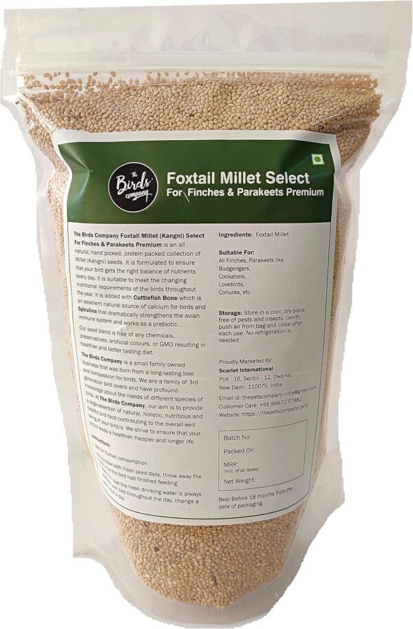 Foxtail Millet (Kangni), Bird Food for All - Image 2